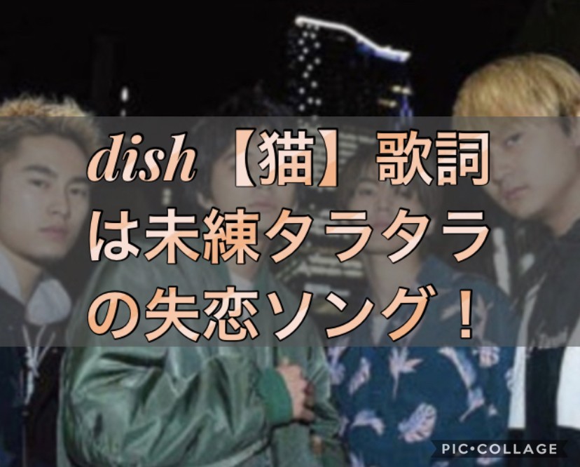Dish 猫 歌詞